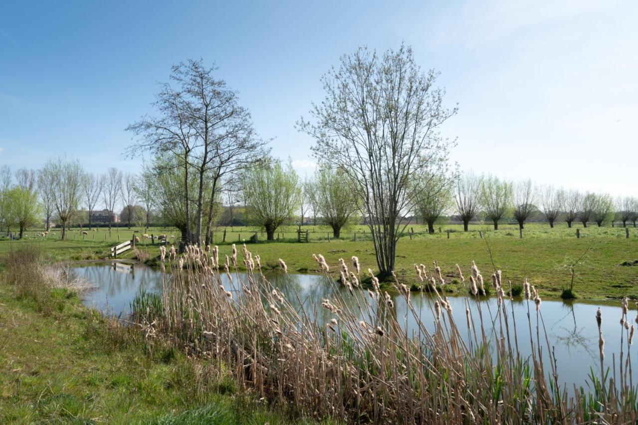 Hoeve De Mertel Biezenmortel Exterior photo